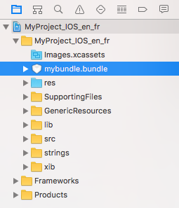 iOS bundle addition